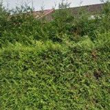 KREJČÍ STAVEBNÍ FIRMA