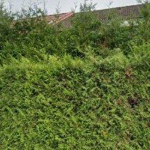 obrazek: avatar KREJČÍ STAVEBNÍ FIRMA