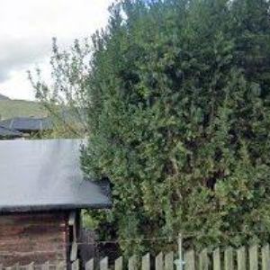 obrazek: avatar CICHÁK VÁCLAV