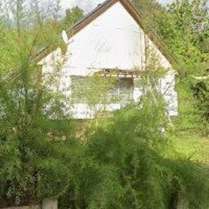 obrazek: avatar MAŠEK PETR-DVEROX