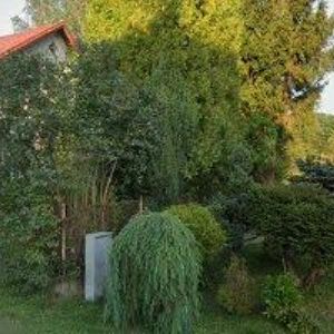 obrazek: avatar HÝREK RUDOLF