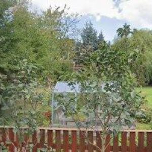 obrazek: avatar KOOPTRON, s.r.o.