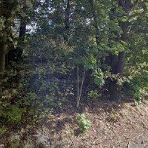 obrazek: avatar JEŠTĚDSKÁ STAVEBNÍ SPOLEČNOST spol. s r.o.