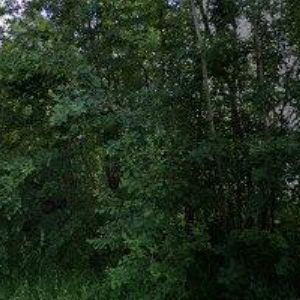 obrazek: avatar RENOS s.r.o.