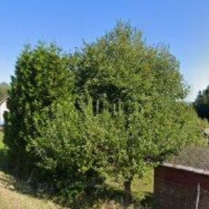 obrazek: avatar ESBY s.r.o.