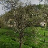 SVOJANOVSKÝ, s.r.o.