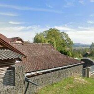 obrazek: avatar ŠTEJFOVÁ HANA