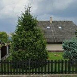 obrazek: avatar PROŠVICOVÁ LENKA