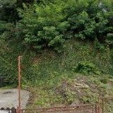 NOVOBORSKÁ BYTOVÁ SPOLEČNOST, s.r.o.