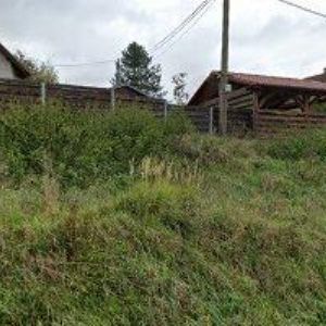 obrazek: avatar MAX ÚČTO