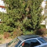 VIRTUÁLNÍ ASISTENTKA KLÁRA