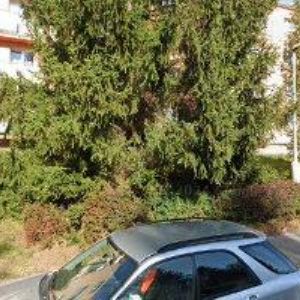 obrazek: avatar VIRTUÁLNÍ ASISTENTKA KLÁRA