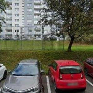 obrazek: avatar DANIEL PAVEL Ing.