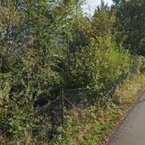 obrazek: avatar TRAKALOVÁ VĚRA