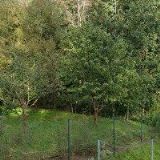 RÝDLOVÁ KATEŘINA DiS.