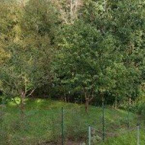 obrazek: avatar RÝDLOVÁ KATEŘINA DiS.