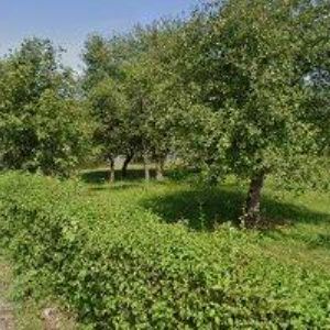 obrazek: avatar KAVIN GROUP s.r.o.