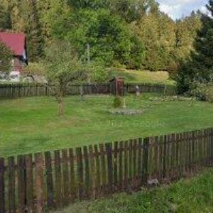 obrazek: avatar VLACH DAVID