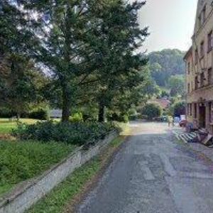 obrazek: avatar WRANOVÁ JITKA