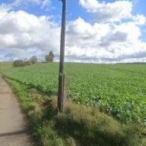 obrazek: avatar TEMA FINANCE s.r.o.