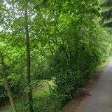 STŘASÁKOVÁ ZDENKA-VEDENÍ ÚČETNICTVÍ