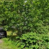 VTÍPILOVÁ MARIE Ing.