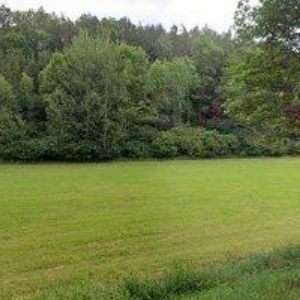 obrazek: avatar NEVRKLA PETR-POZEMNÍ STAVBY