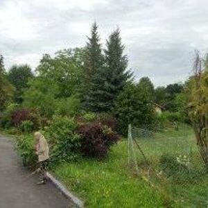 obrazek: avatar VČEKONOMIA, s.r.o.