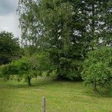 TINTĚROVÁ ELIŠKA MIROSLAVA