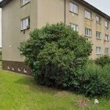 JELÍNKOVÁ MARKÉTA