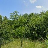 T.I.S.C.-LODĚNICE CHVALETICE