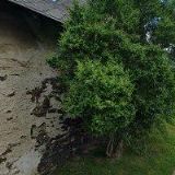 TRUHLÁŘSTVÍ HALAMKA, s.r.o.