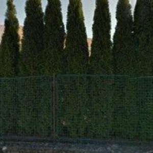 obrazek: avatar WANMOS s.r.o.