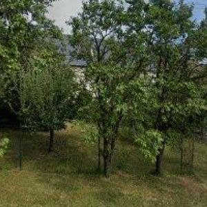 obrazek: avatar KRÁČMAROVÁ LUDMILA