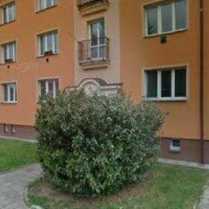 obrazek: avatar PAVLACKÝ MILAN Ing.