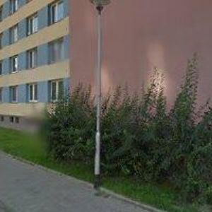 obrazek: avatar GREMLICA MICHAL