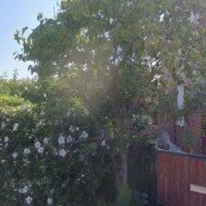 obrazek: avatar ZAPLETAL RUDOLF