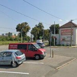 obrazek: avatar SNOPKOVÁ ZDEŇKA