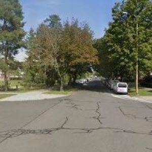 obrazek: avatar VESTOD