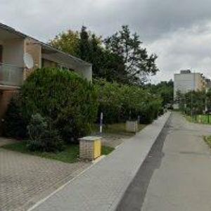 obrazek: avatar MIZEROVÁ LENKA