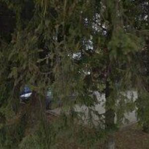 obrazek: avatar BŘEZOVJÁKOVÁ ALENA