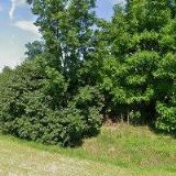 HDP STAKEHOLDERS, s.r.o.