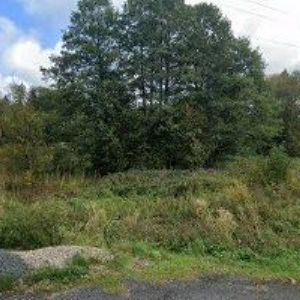 obrazek: avatar KAMENOSOCHAŘSTVÍ DVOŘÁK DANIEL