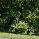 VAVRUŠA ZEMNÍ PRÁCE