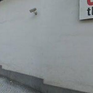 obrazek: avatar SDRUŽENÍ TULIPAN, z.s.