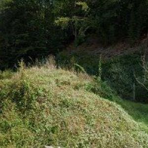 obrazek: avatar WOODTRUCKING s.r.o.