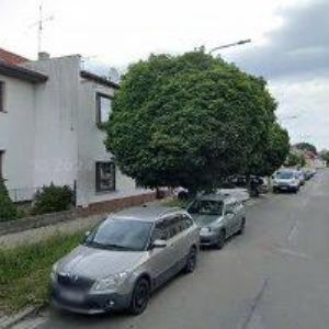 obrazek: avatar PRŮCHA JOSEF