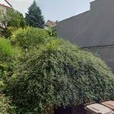 TRUHLÁŘSTVÍ VAJRAUCH & SYN