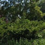 VILHANOVÁ LENKA Ing.