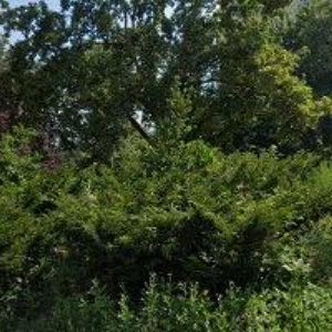 obrazek: avatar VILHANOVÁ LENKA Ing.